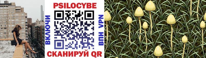 Псилоцибиновые грибы мухоморы купить цена Стрежевой